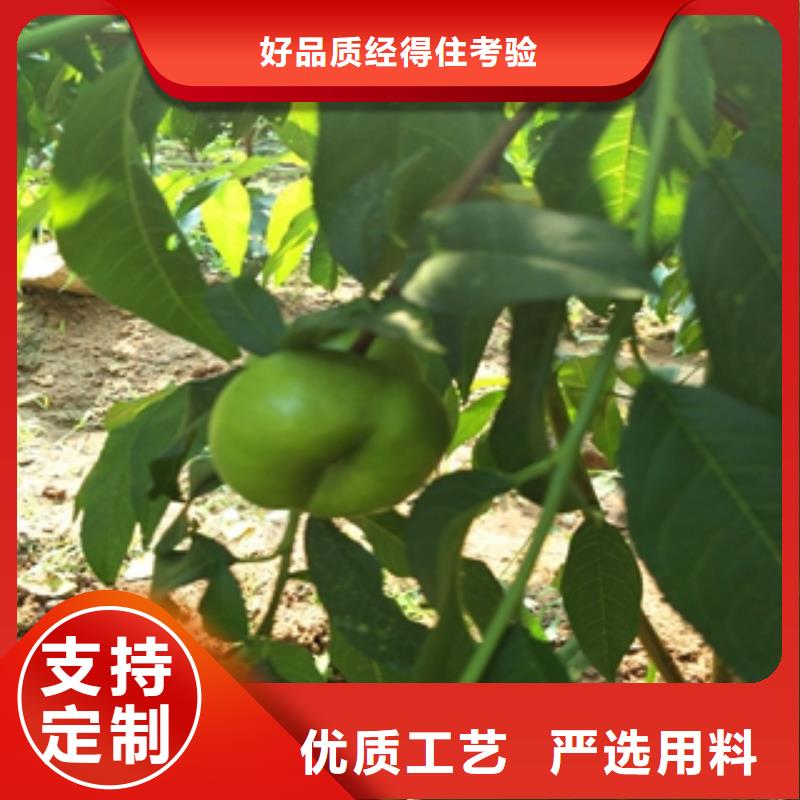 【桃树国槐厂家品控严格】