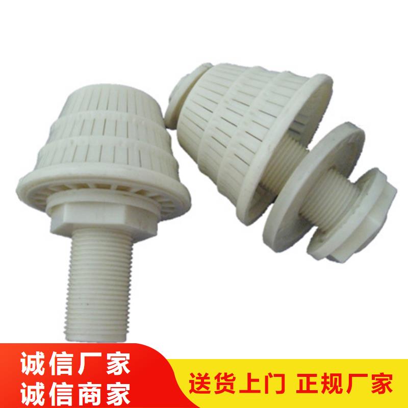 滤头帽泡沫滤珠多年行业经验