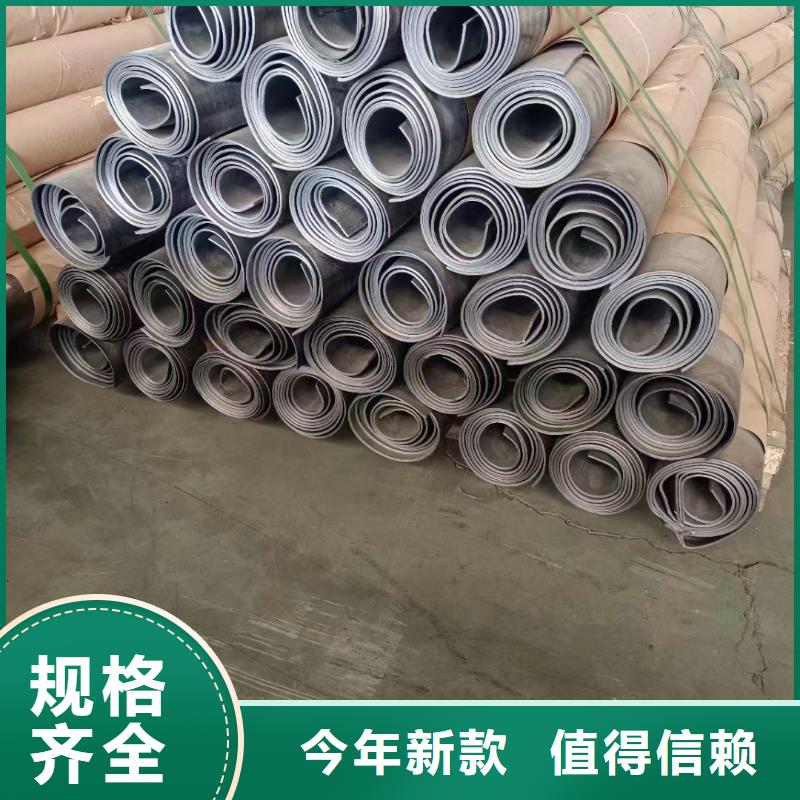 X射线防护铅门实力厂家