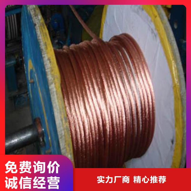铜绞线,紫铜板订制批发