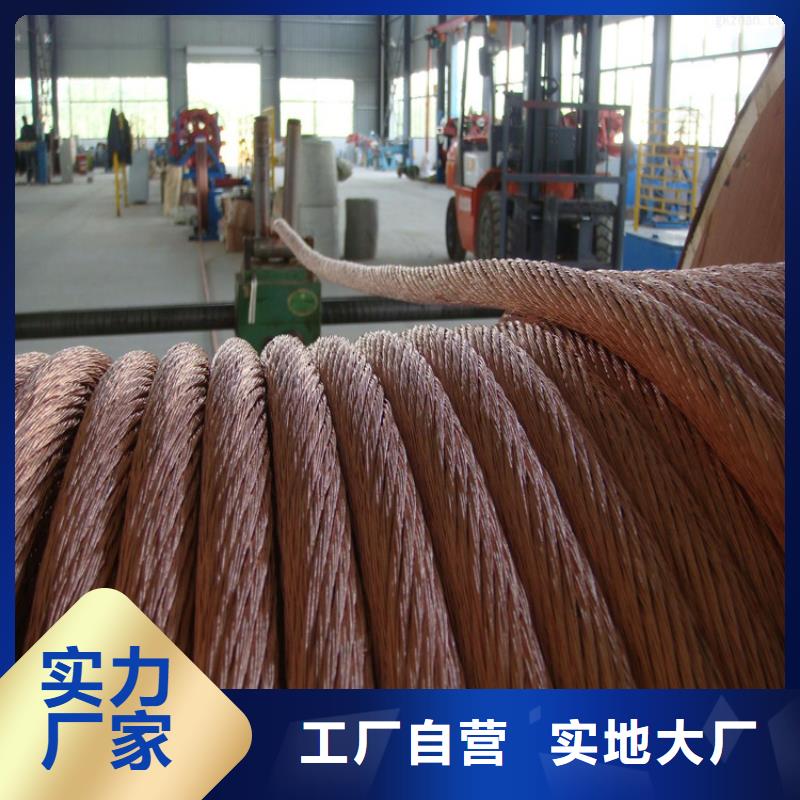 铜绞线细节严格凸显品质