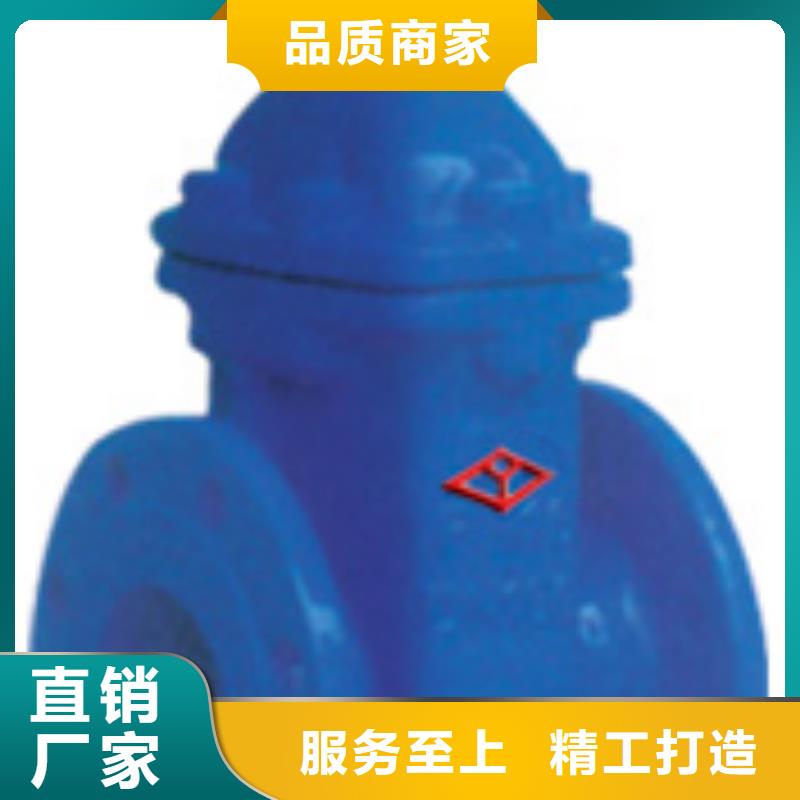 闸阀多年行业经验