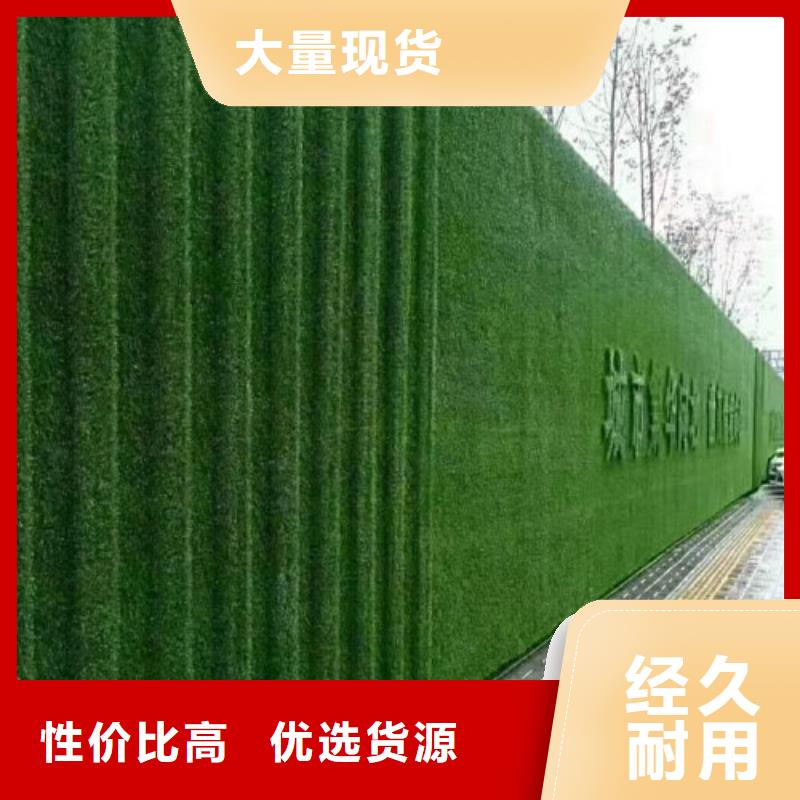 围挡草坪-人造草坪围挡合作共赢