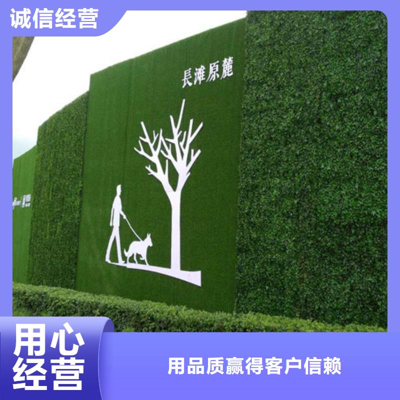 围挡草坪_假草皮围挡种类丰富