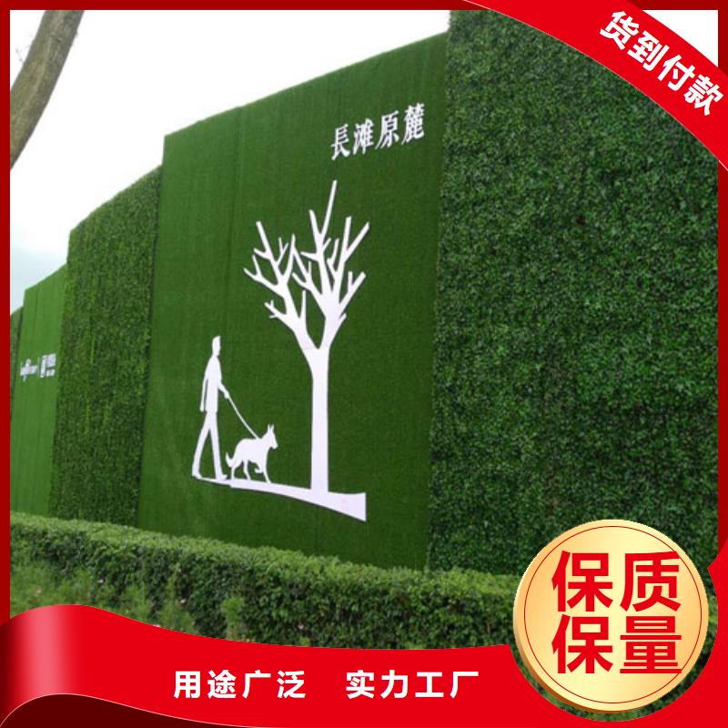 围挡草坪人造草坪围挡质量好