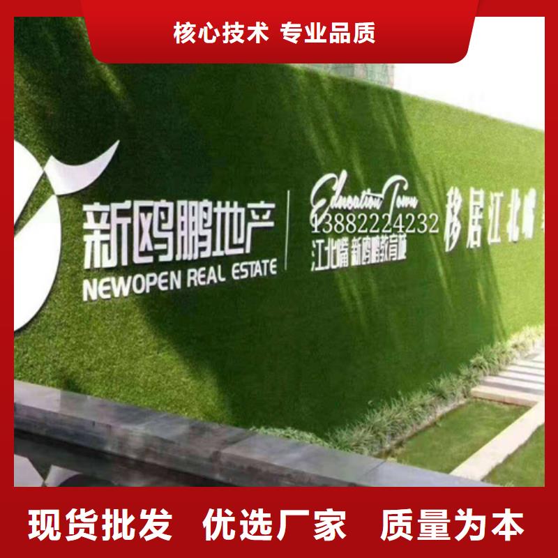 草坪围挡假草皮围挡海量现货直销