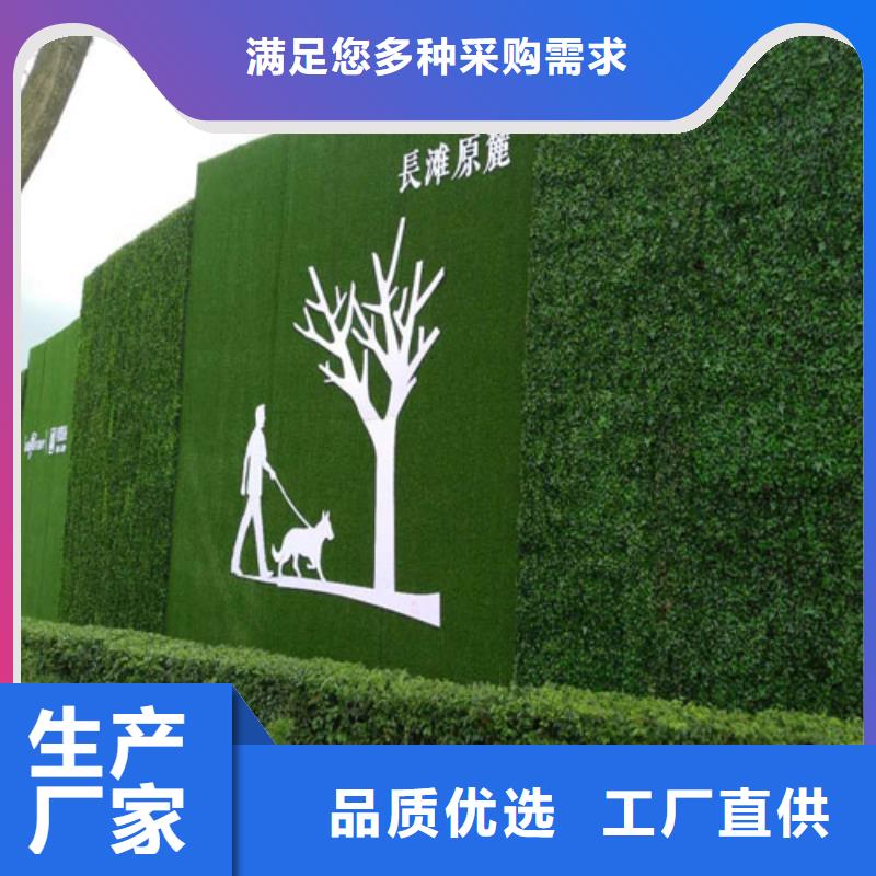 草坪围挡围挡草坪品质服务诚信为本