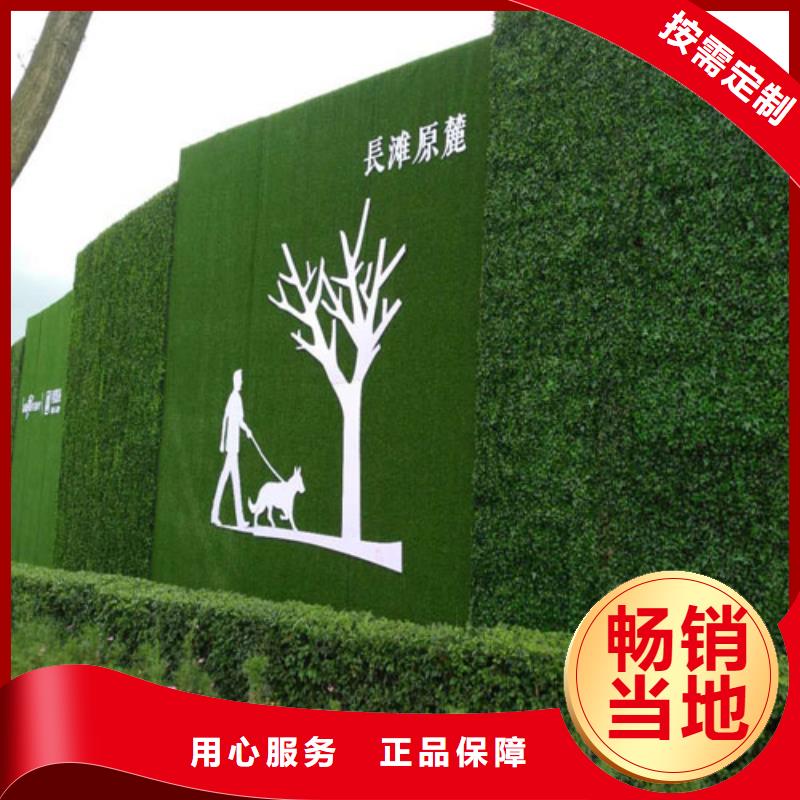 草坪围挡工地围挡草坪常年供应