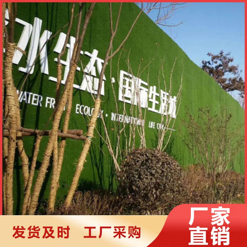 草坪围挡人造草坪围挡实拍品质保障