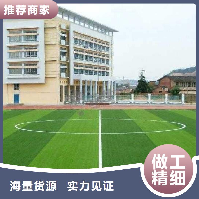 塑胶球场全国发货欢迎咨询