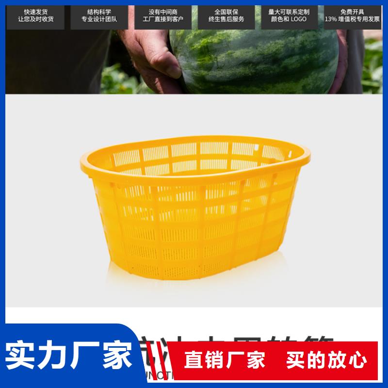 【塑料筐】防潮板专业按需定制