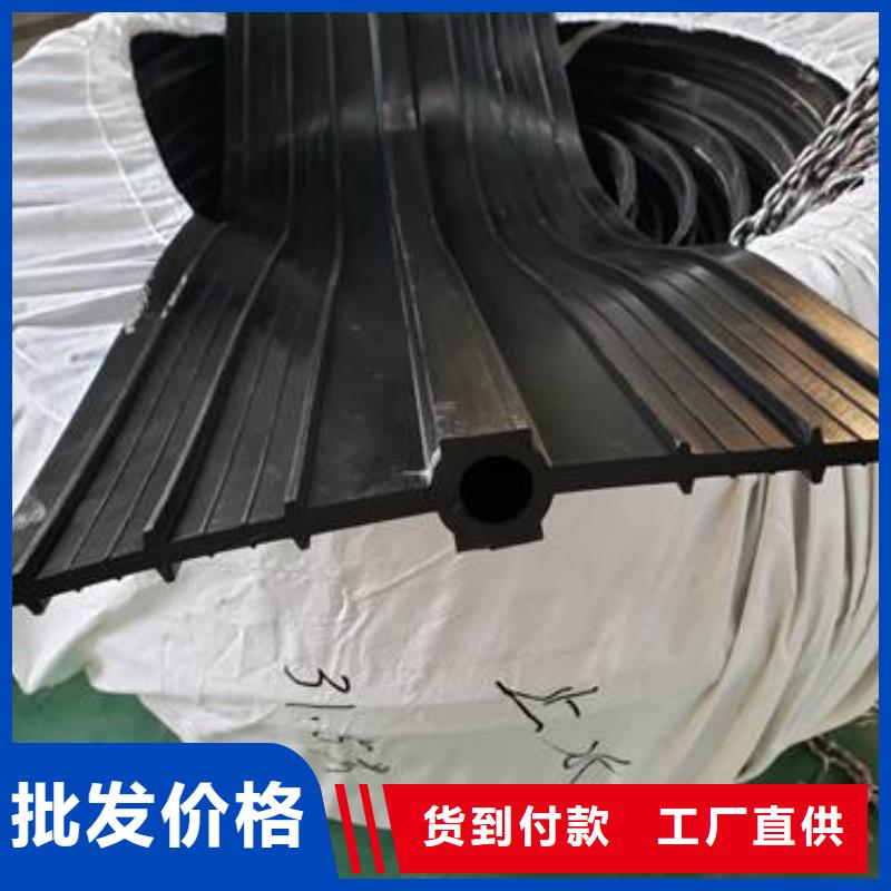 中埋式橡胶止水带质优价廉