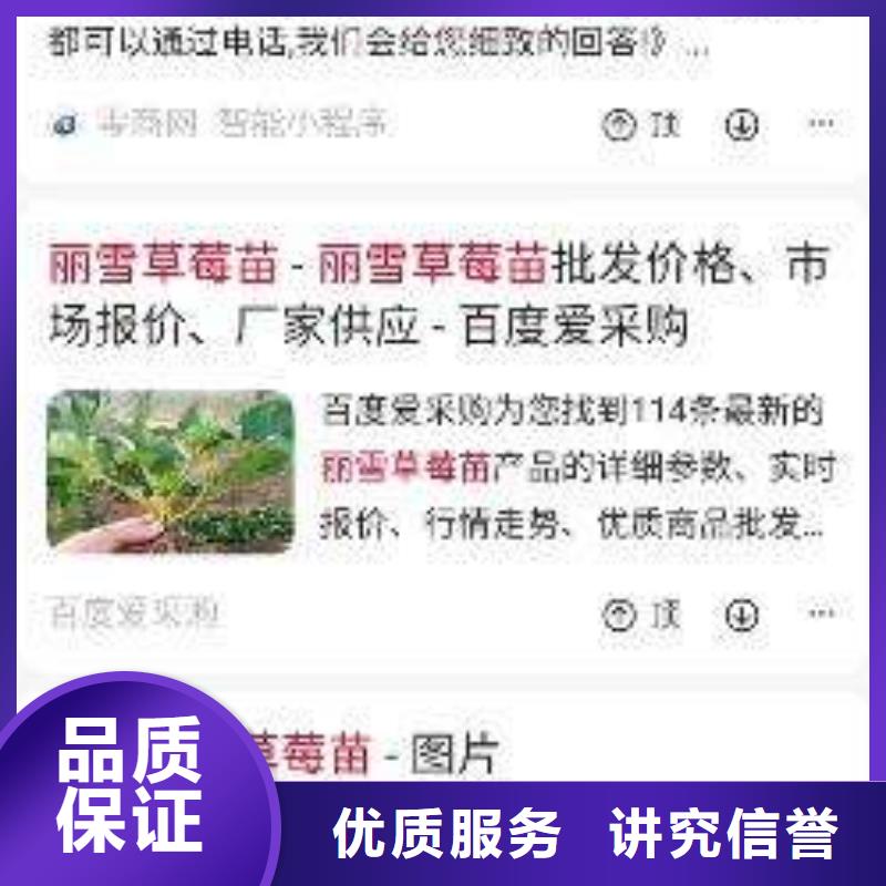 手机移动端推广高品质