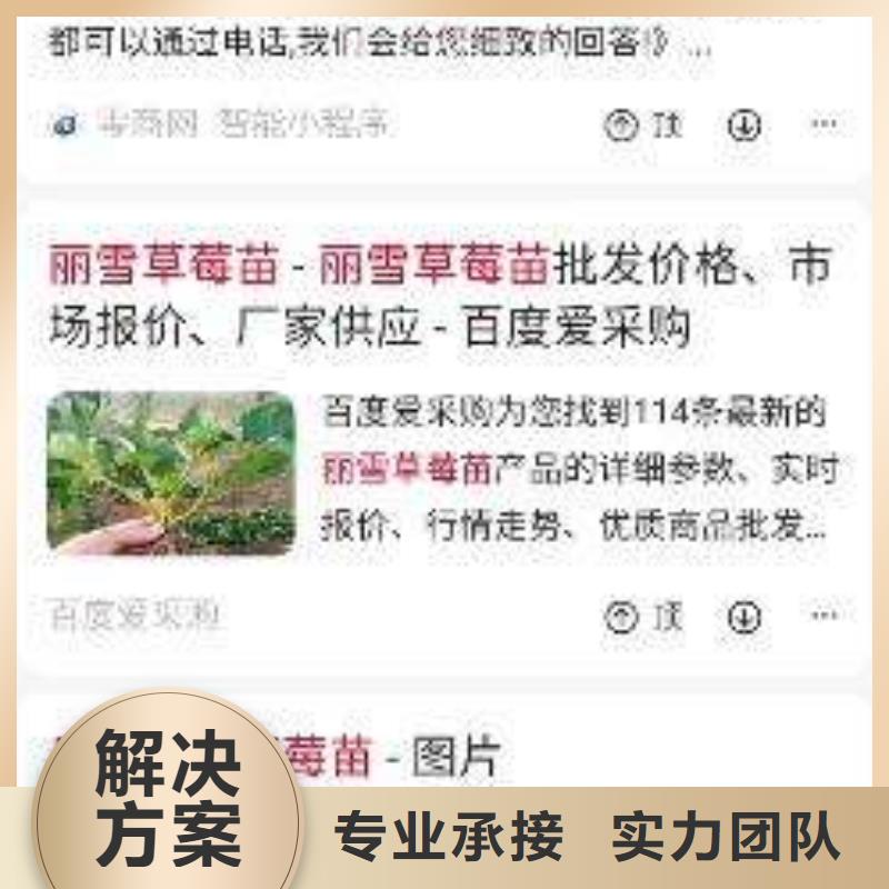 手机网络代运营长期合作
