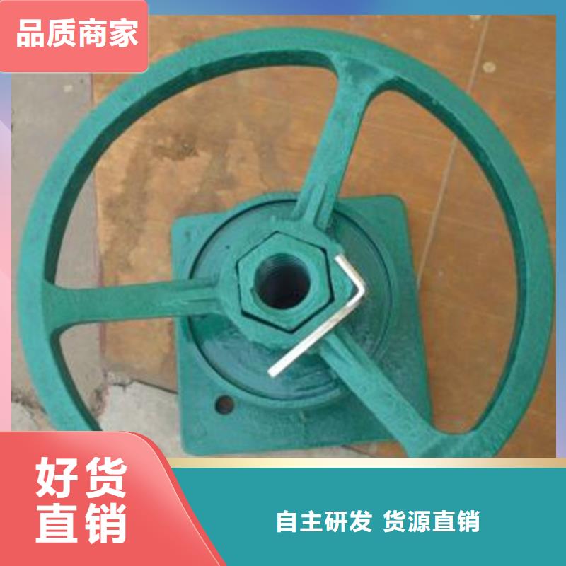 2025品质过硬#5T直连式启闭机厂家#解决方案