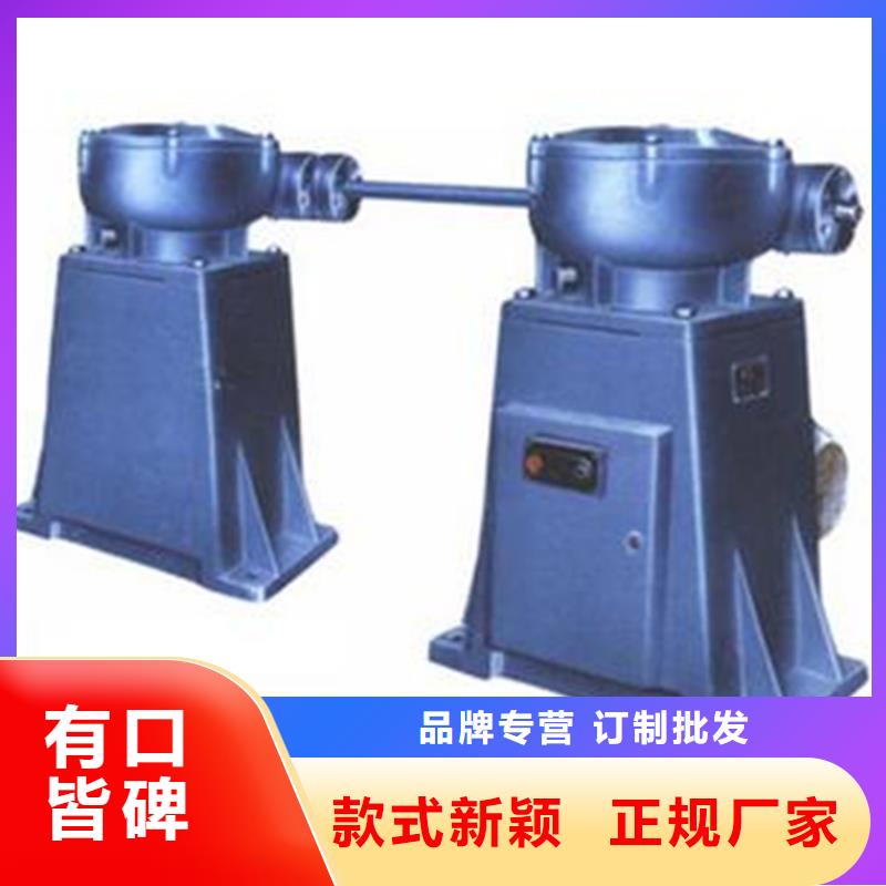 【启闭机固定卷扬式启闭机现货满足大量采购】