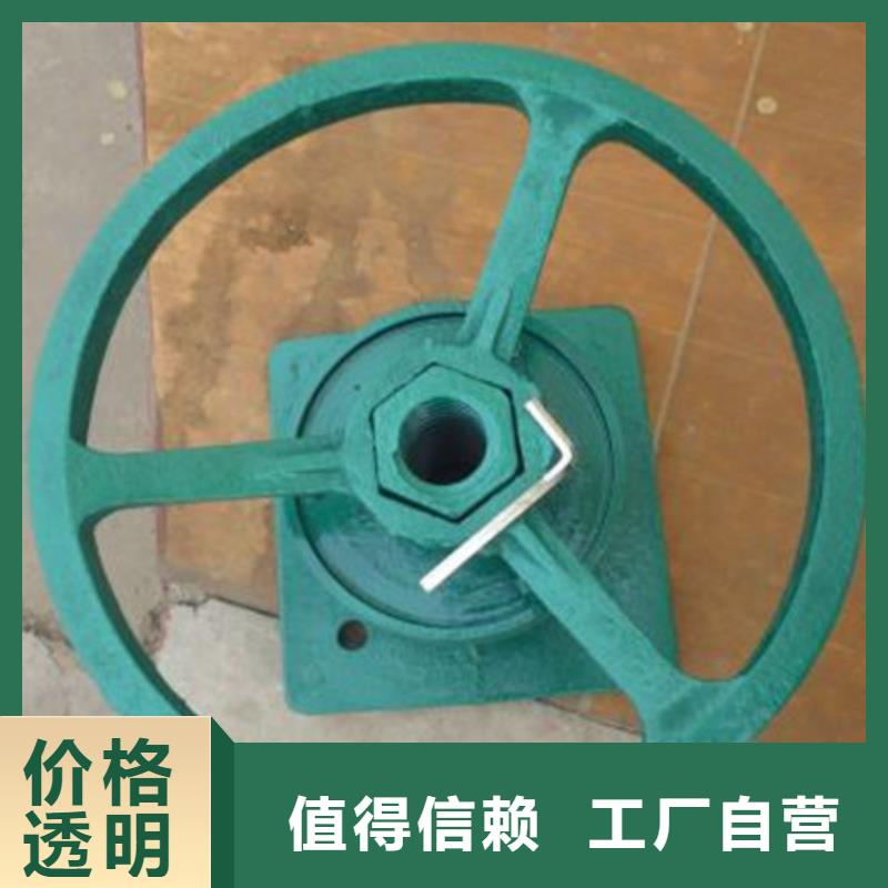 启闭机固定卷扬式启闭机工艺层层把关