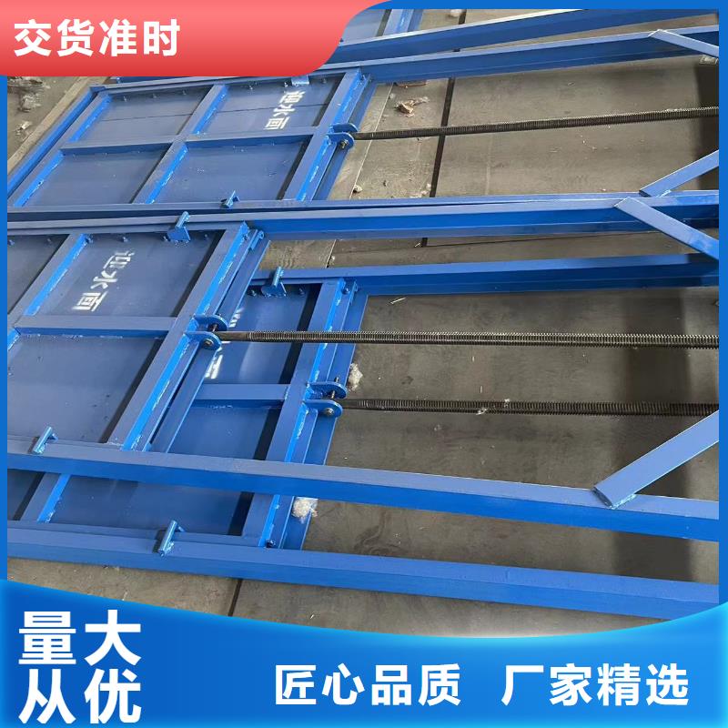 钢闸门_螺杆启闭机专注质量
