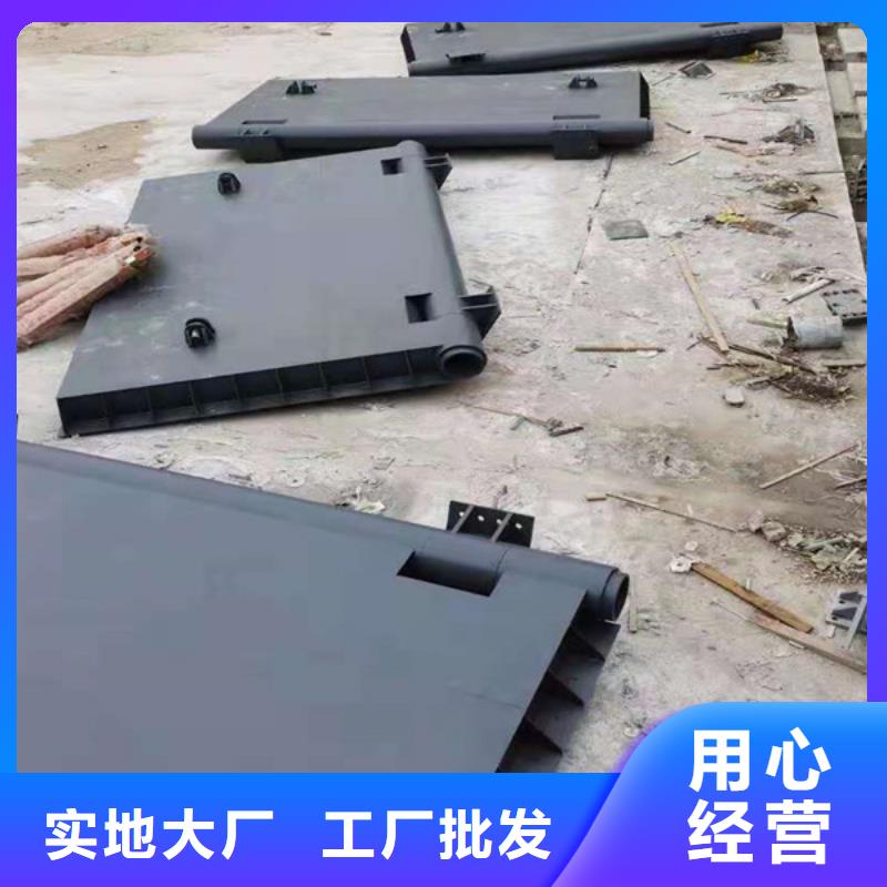 钢闸门_螺杆启闭机专注质量