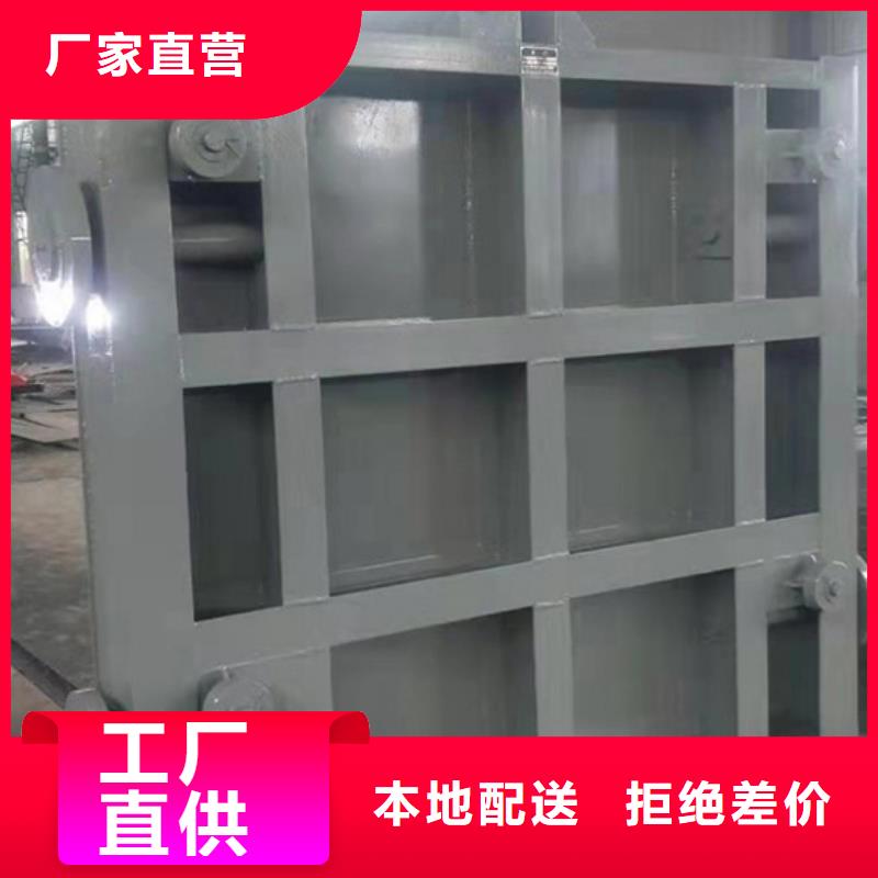 钢闸门 自动升降钢坝专注生产制造多年