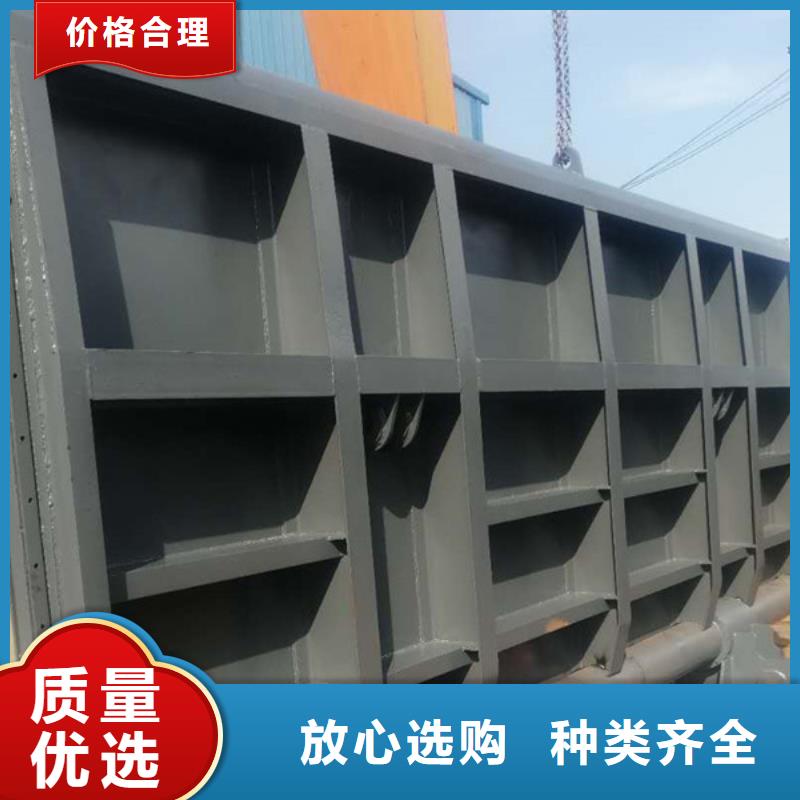 钢闸门_螺杆启闭机专注质量