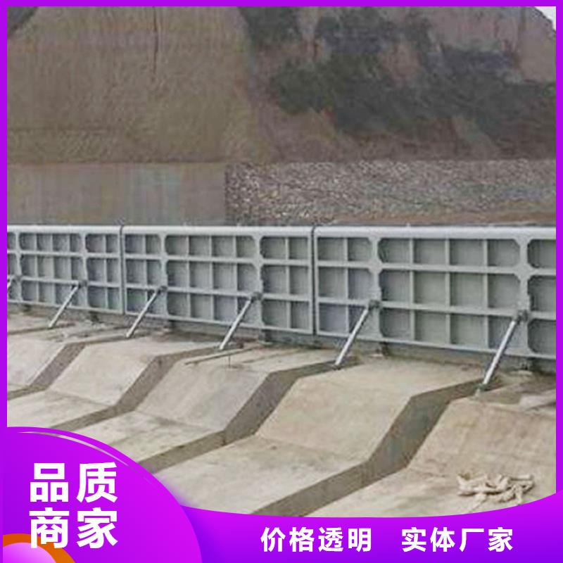 钢闸门,泵站液压启闭机追求细节品质