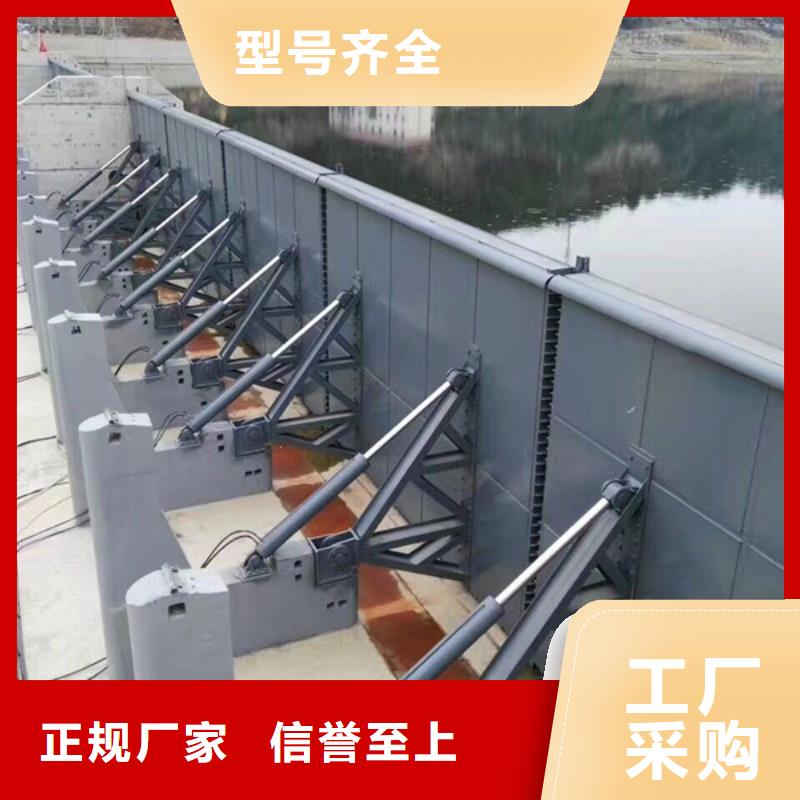 【钢闸门】格栅除污机支持大批量采购