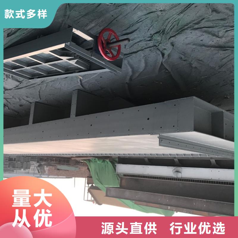 钢闸门【水库发电站平面钢闸门】欢迎来电咨询