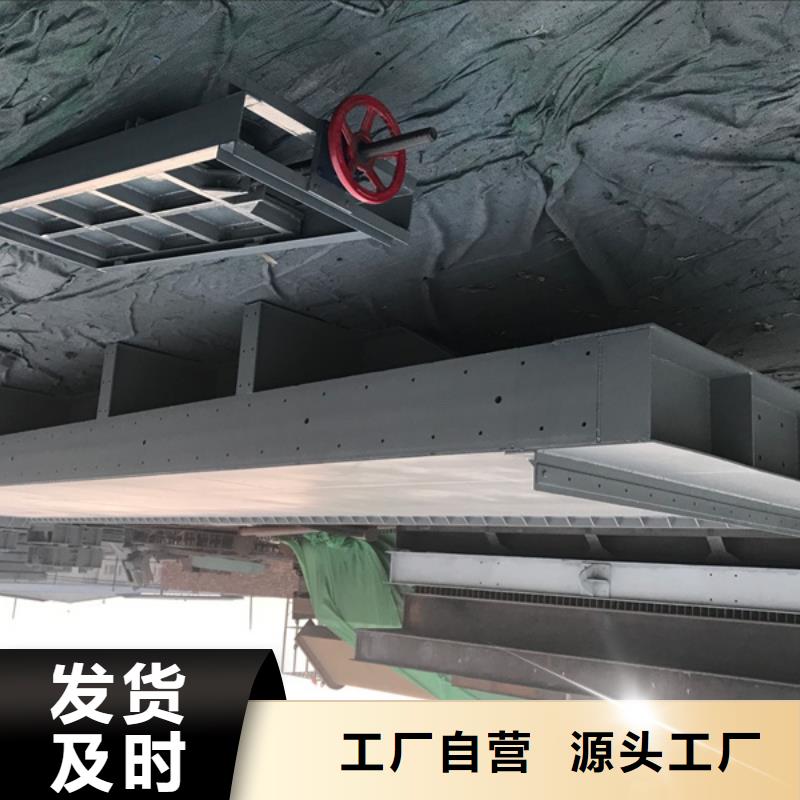  钢闸门懂您所需