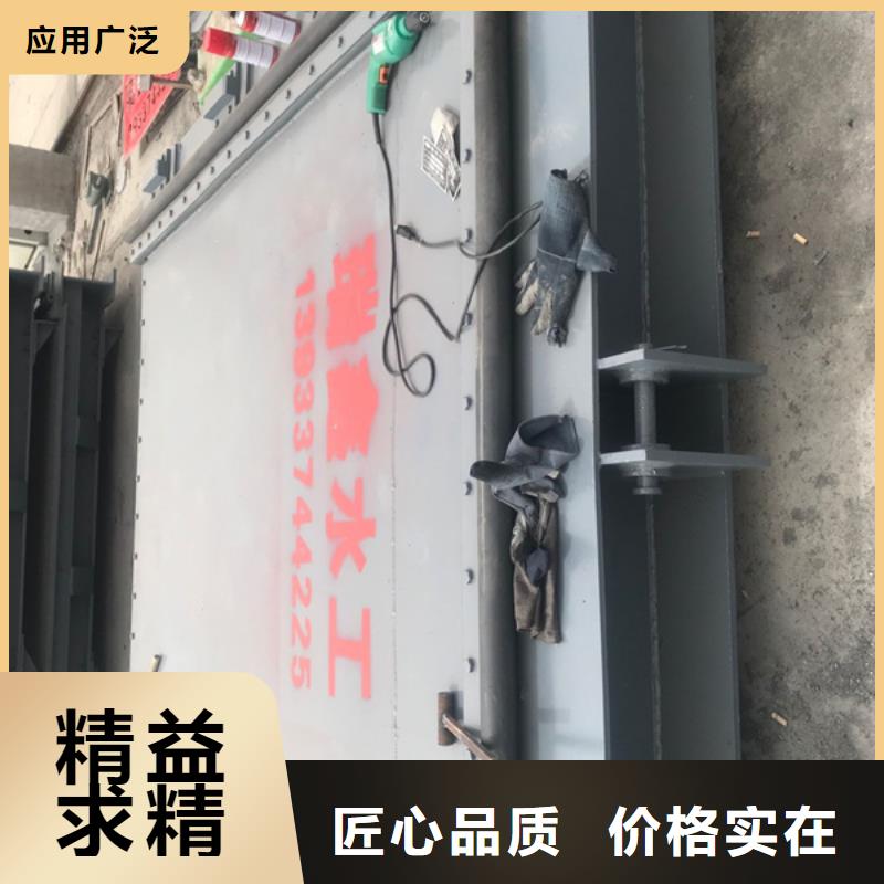 钢闸门匠心制造