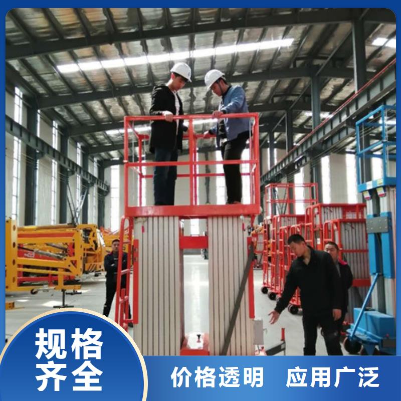 铝合金升降机家用电梯厂哪家好款式多样