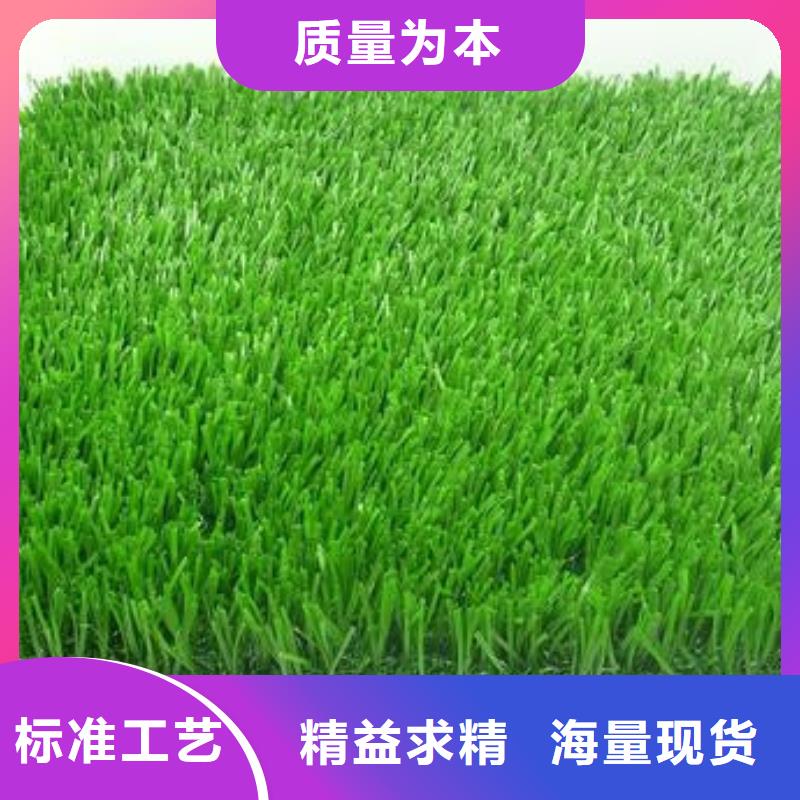 【人造草坪,塑胶跑道保障】