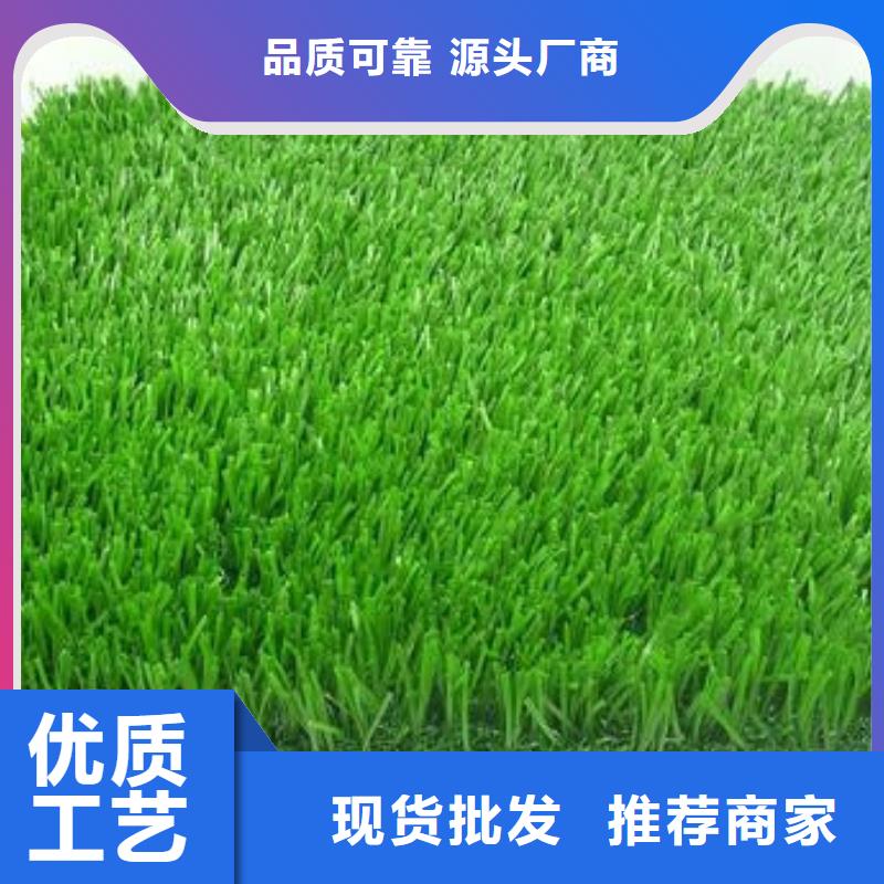 人造草坪塑胶跑道定制批发