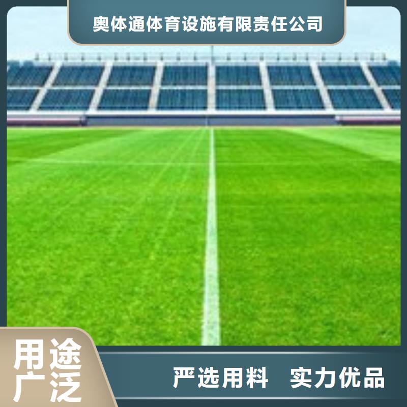 【人造草坪,塑胶跑道保障】