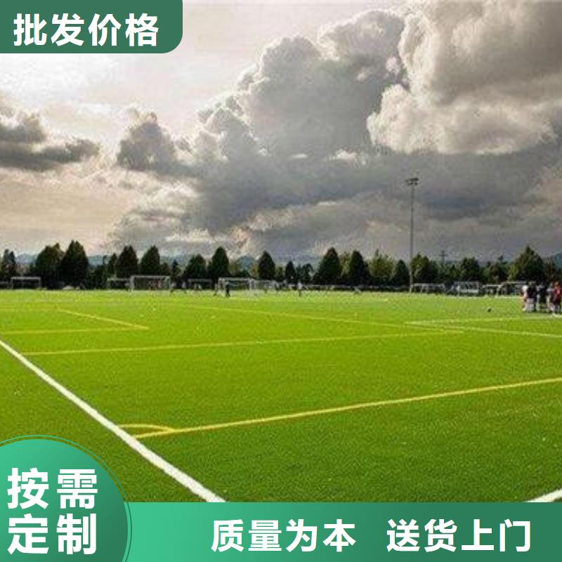 人造草坪塑胶跑道定制批发