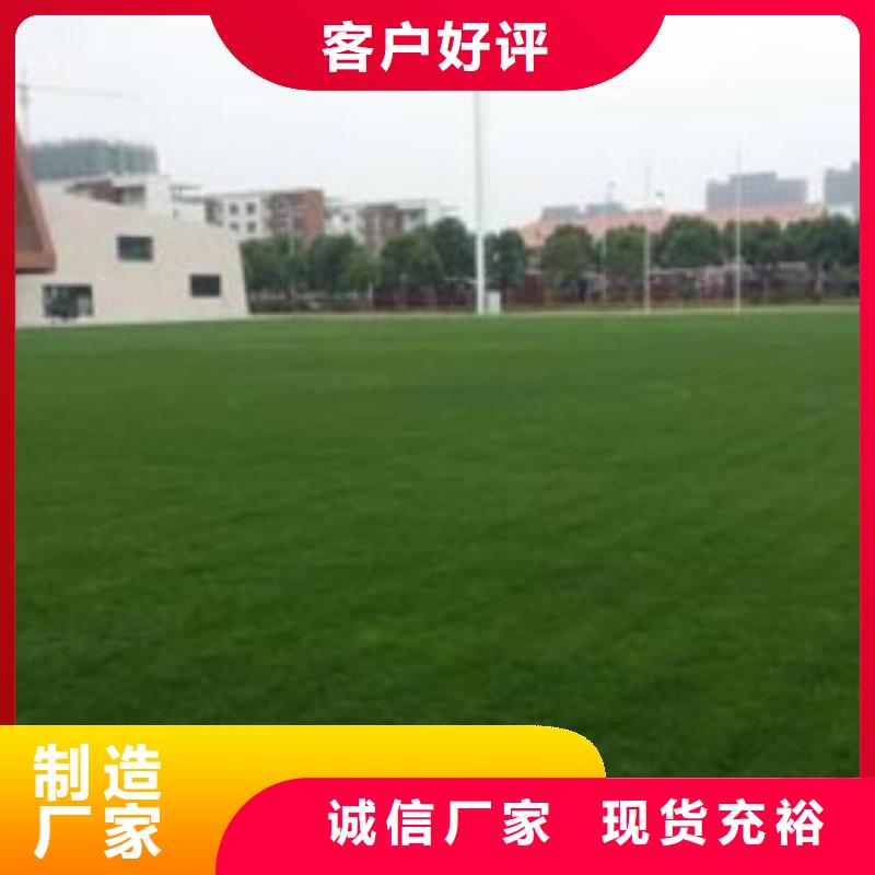 人造草坪,硅PU排球场支持拿样