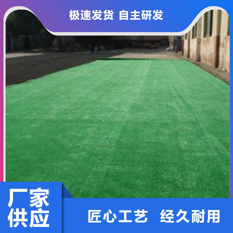 【人造草坪,塑胶跑道保障】