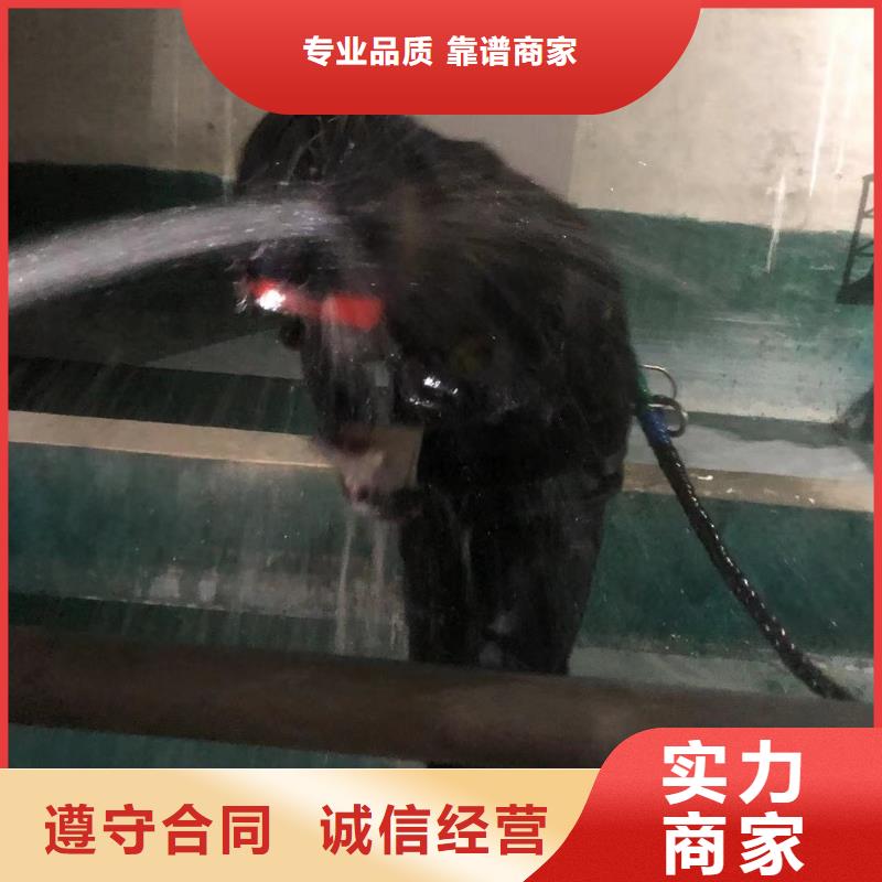 水下作业：水下电缆铺设与维护多领域覆盖