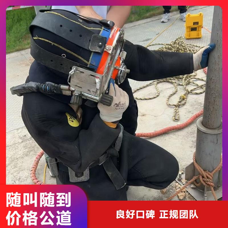 水下摄影信誉卓著