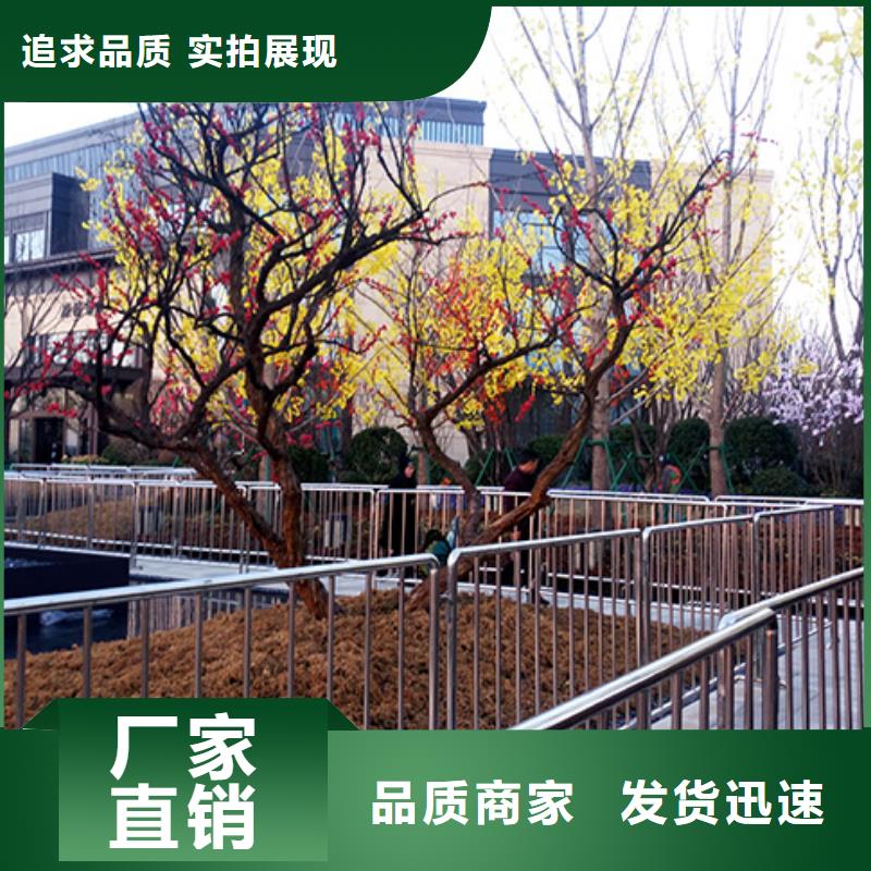 铁马护栏出租-车展览会篷房出租租赁技术比较好