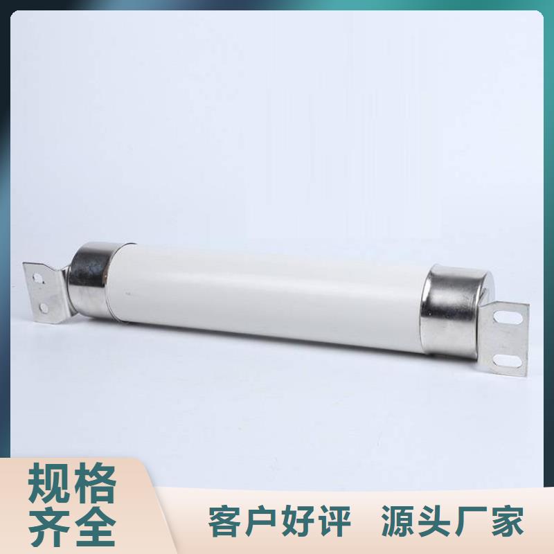 高压熔断器高压保险丝保险管厂家直营