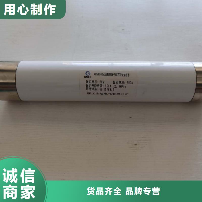 高压熔断器BR-1双电源配电箱用心做产品