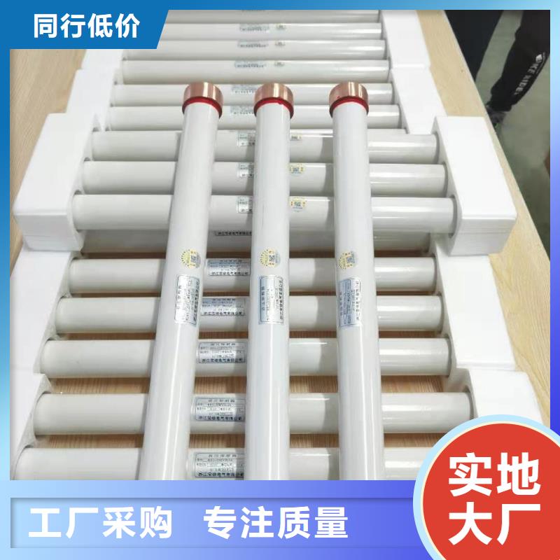 高压熔断器BR-1双电源配电箱用心做产品