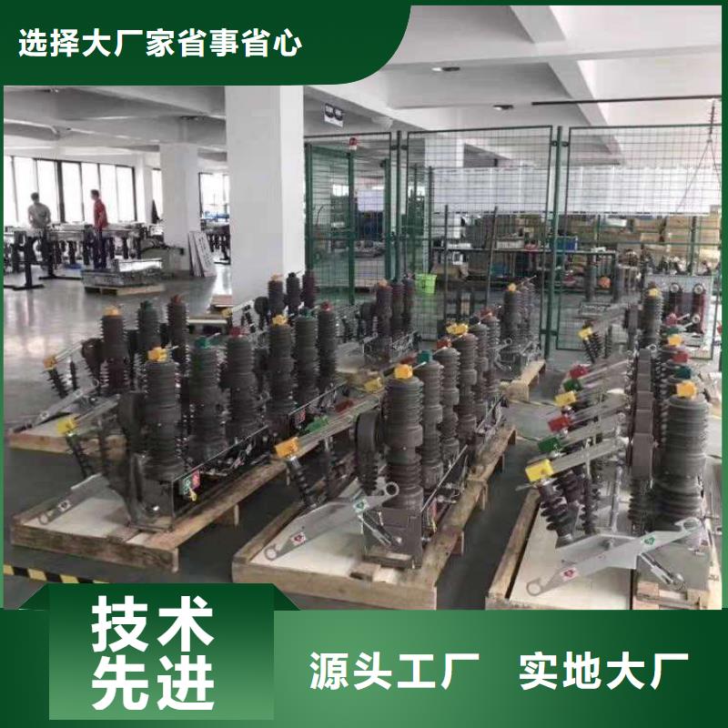 真空断路器,XRNT-12KV熔断器专业生产N年