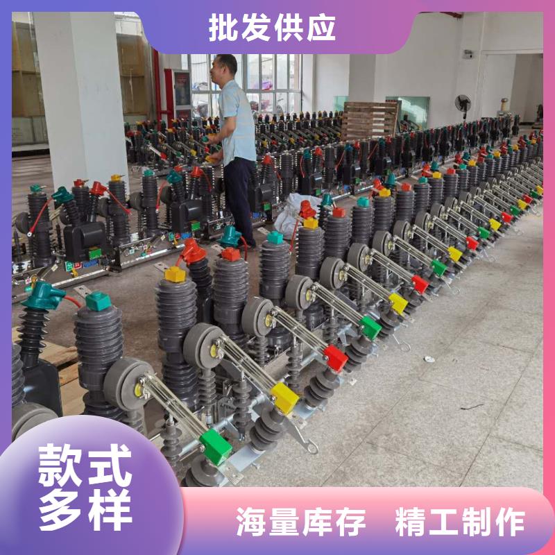 真空断路器XRNP-10KV高压限流熔断器商家