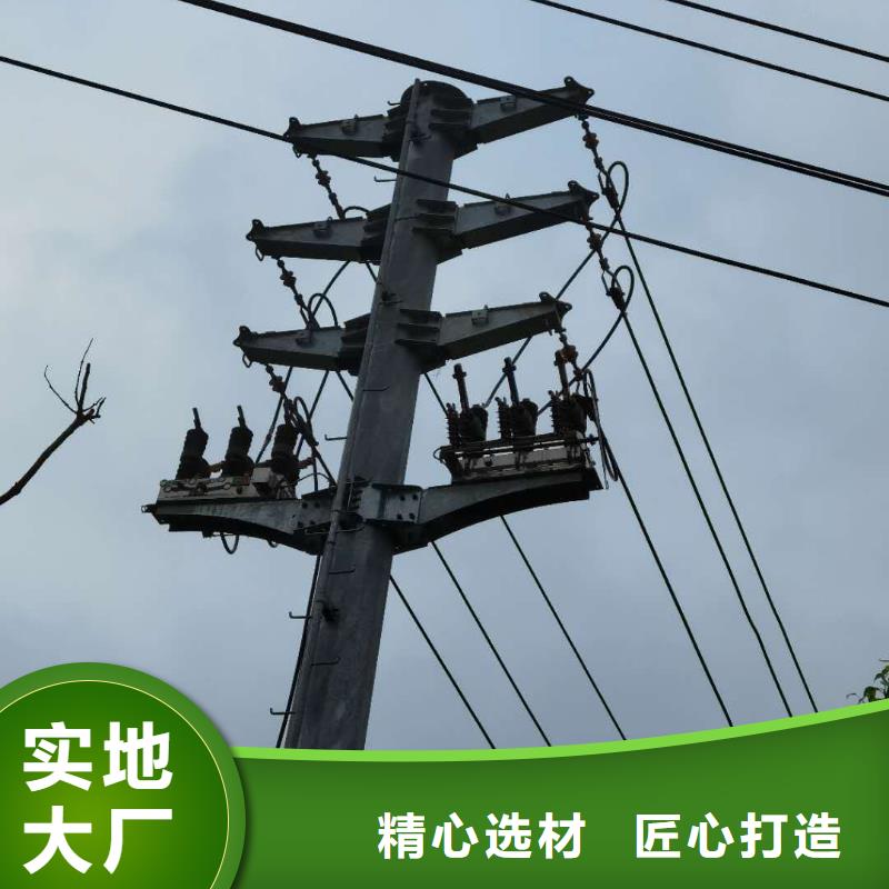 【真空断路器-配电箱专业生产N年】