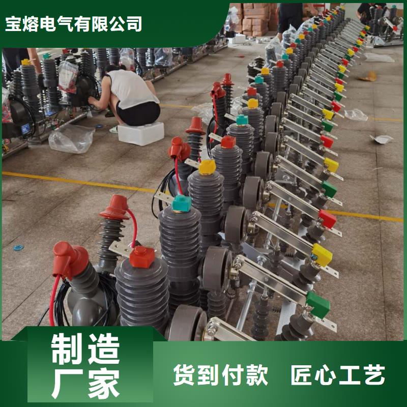 真空断路器,XRNT-12KV熔断器专业生产N年