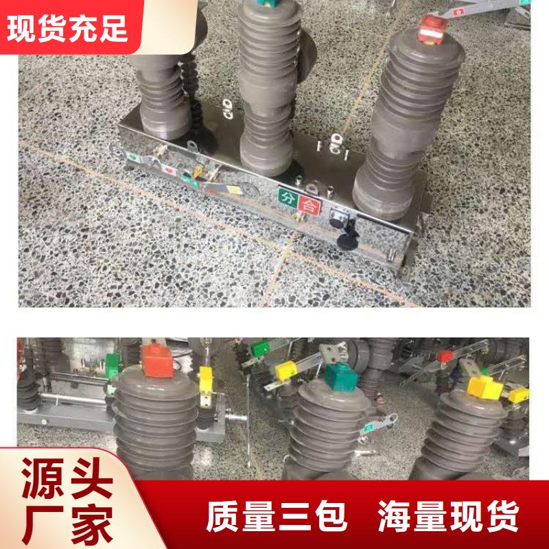 真空断路器高压限流熔断器现货充足量大优惠