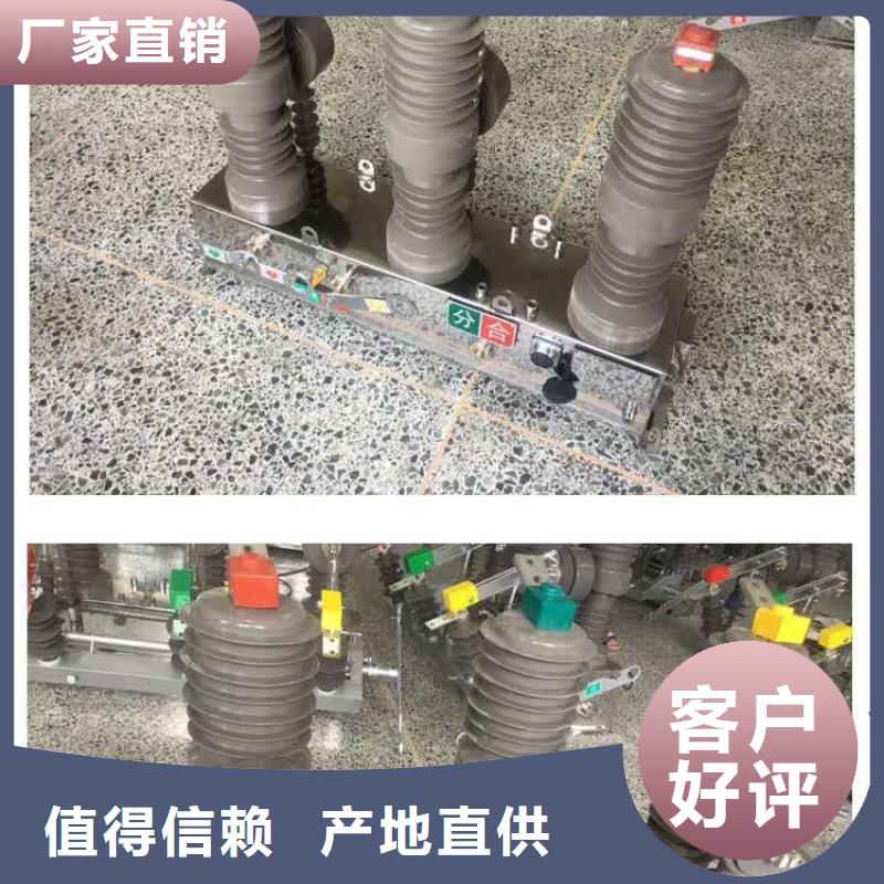 真空断路器【工地箱】商家直供