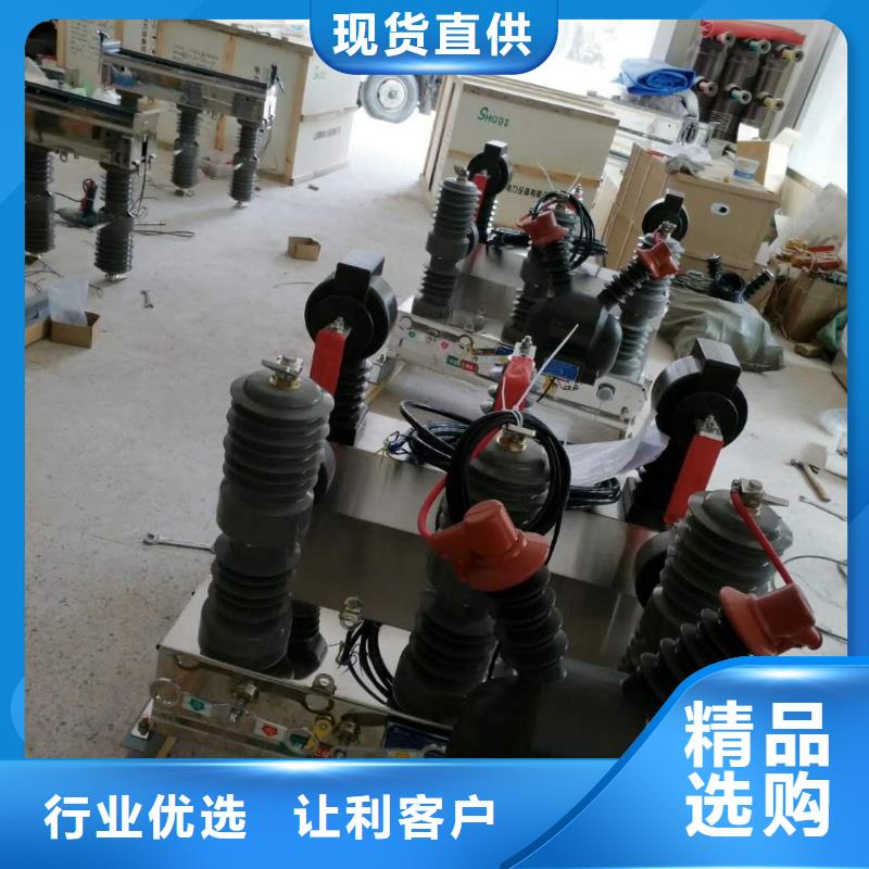 真空断路器VS1户内高压真空断路器制造厂家